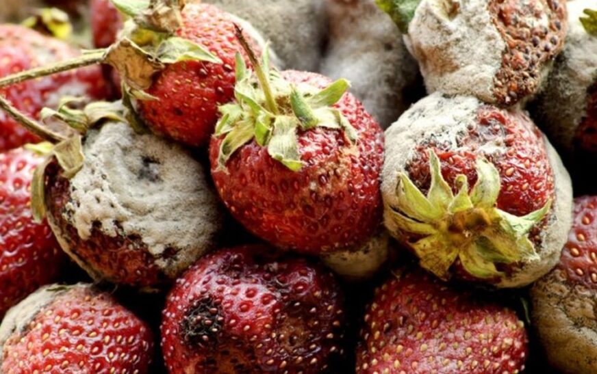  1200 630 e0c727a83184fe94beaa309252c291ce