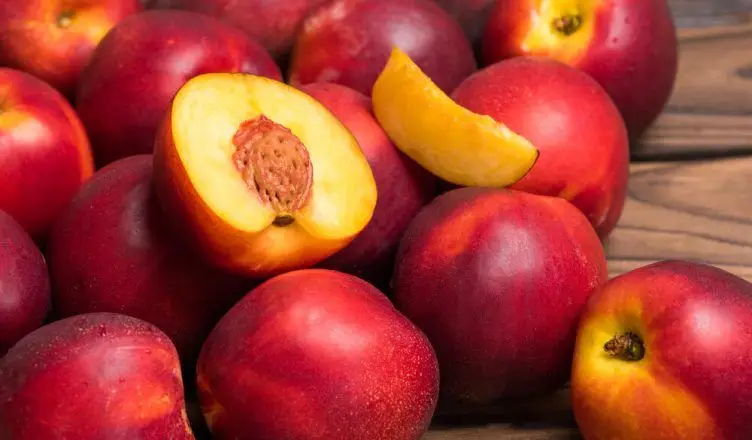 Creator: Gd Jpeg V1.0 (using Ijg Jpeg V62), Quality = 82?