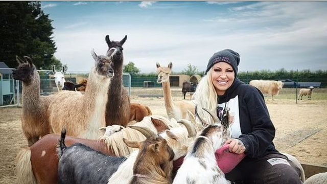  640 0 0e0b1edd096633c30cc43f9f7d0d2edd