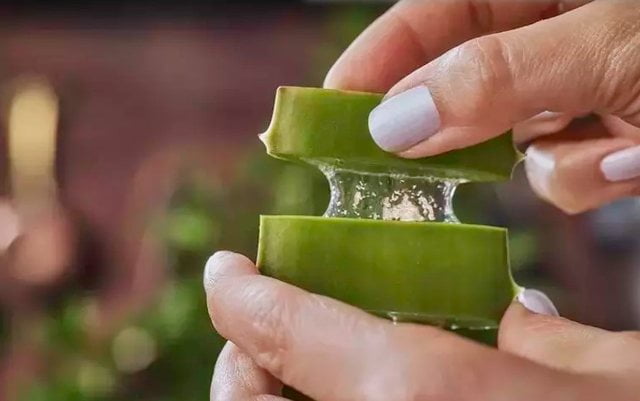  640 0 23a284de0b10c6eb4d66904f3d8f60f9