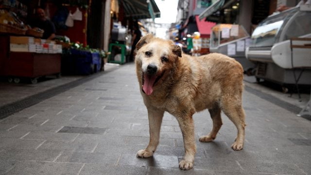  640 0 6372ceb4ab9b6e83782c339d30b36a3c