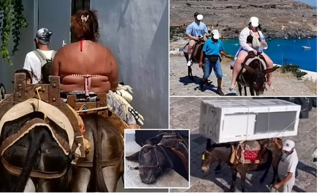 Gomerët ‘taksi’ në ishullin grek vuajnë nga turistët mbipeshë dhe abuzimi i pronarëve