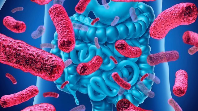  640 0 e400817fbc1744b3f024e8c8ea79c243