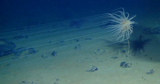  640 0 f31bcedde76a536a035a367f8d06e2e2