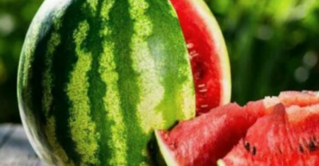 Jo vetëm ju hidraton, ja përfitimet e jashtëzakonshme që merrni nga konsumi i shalqirit