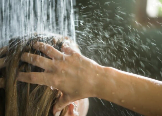 646 462 dushpng 17212167332038493423663108616