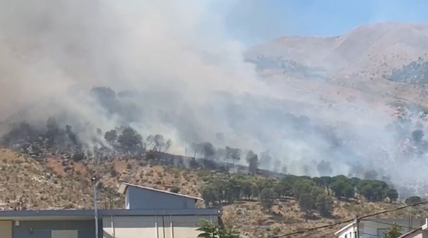 Pylli me pisha në Gërhot të Gjirokastrës përfshihet nga zjarri, flakët po përhapen me shpejtësi