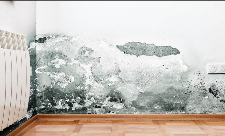 Screenshot 2024 07 25 182602 780x470