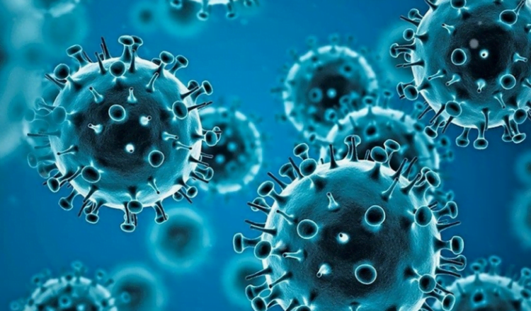 Auto Covid1721207131 750x440