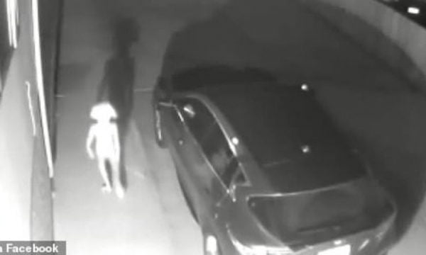 “Çfarë lloj krijese është kjo?”, Video që po çmend rrjetin