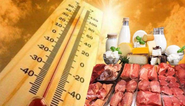 Temperaturaushqimi2965598710814329847