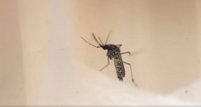 640 0 588e5e6050abc59050cfe8c6c567e315