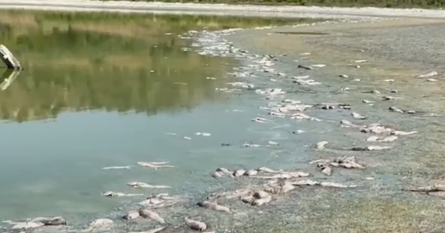  640 0 6ba7f532739095167814a497f46d387f