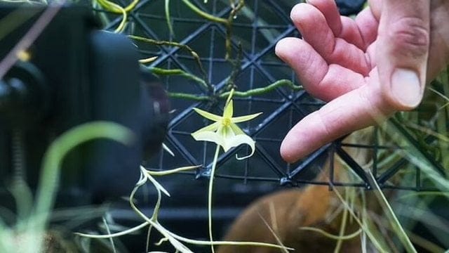 640 0 6fa8200156e0e7c0efdb41d199260c77