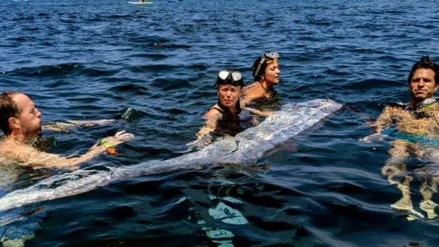 640 0 913f3fa1b00dd019f6a2a670fd79d7823502454403868653839