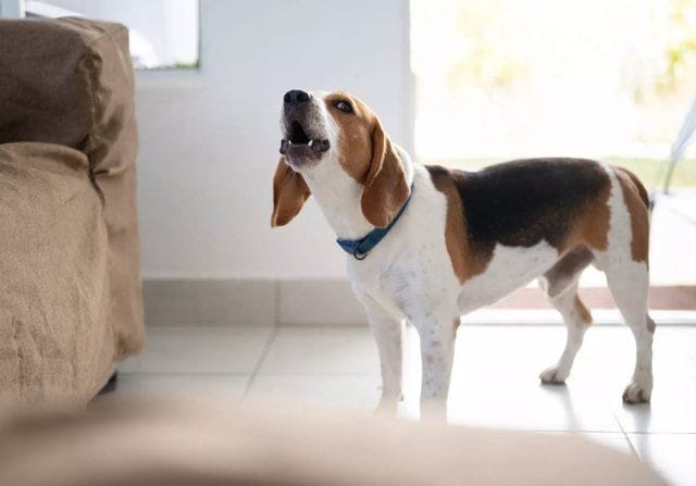 640 0 Ba5aa4daea43d2dbfdcb8589118135bc6856902267269269168