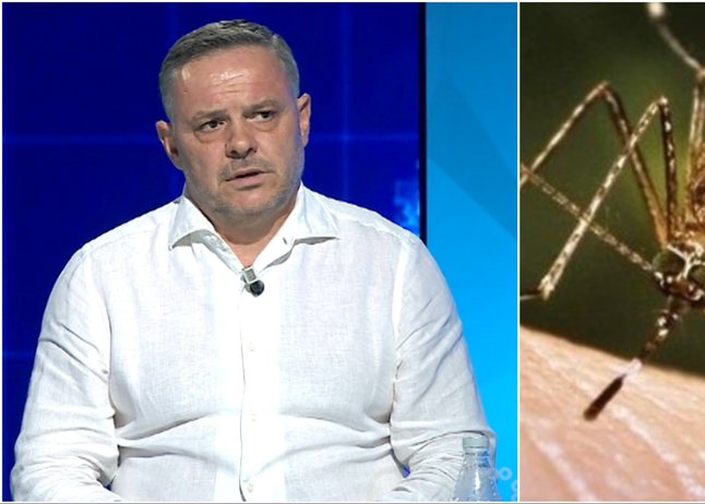  646 462 148c327b 64c9 47af b656 cdaaba8ef461 1722863689