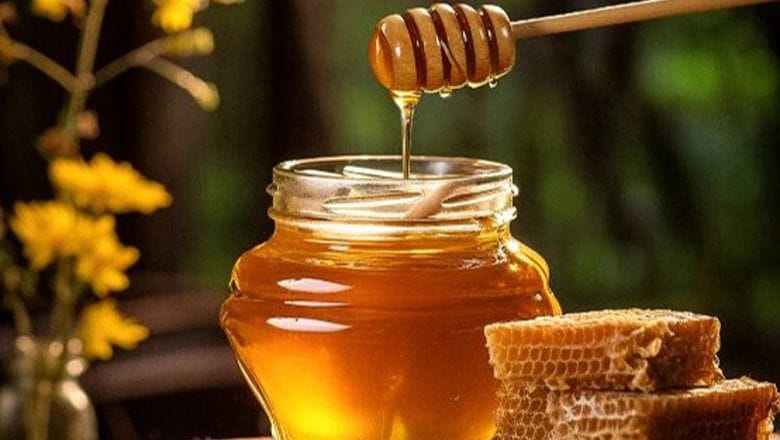 1726412213 Mjalt2365184156409009685