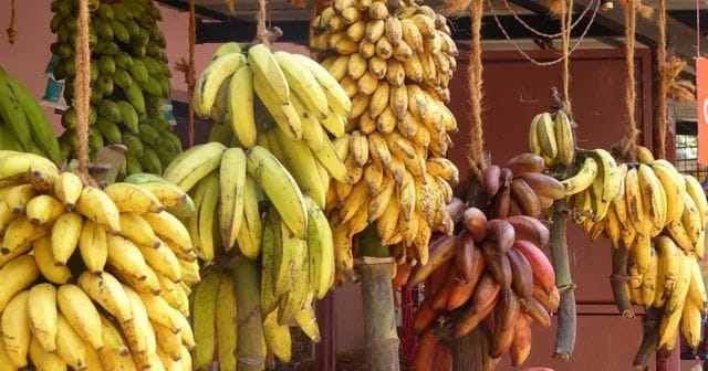 640 0 46cc1071451de7a804bfdbcd7002d99d8997206611375945244