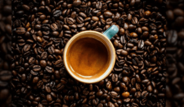 640 0 C229e9ed694d84d5c23a04943ed3c9c36268356146083218738