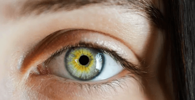 640 0 Capturepng 17255544825724746905786540350