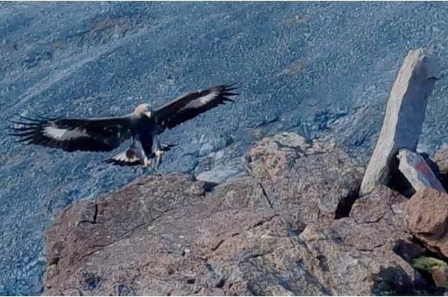 640 0 E4bcfc95767b78253bd569f7bd176fcd317866101104210187