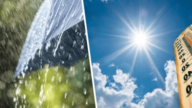 640 0 Shi 17276365654055602535732176784