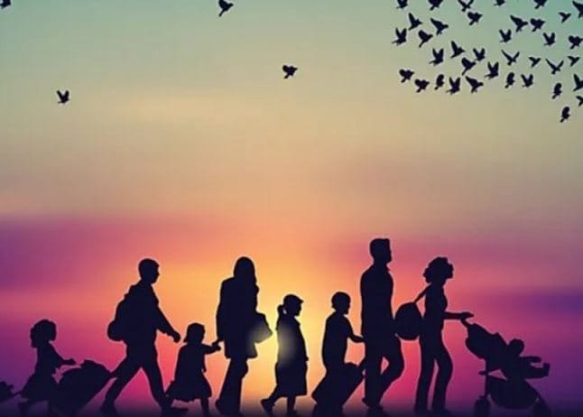 646 462 A62c77df2ed3c12126e7e5e57f9ab176