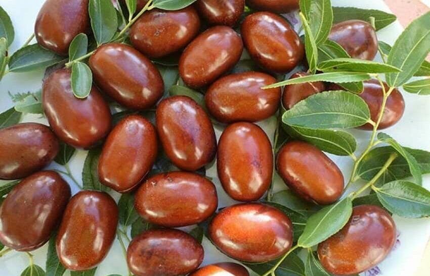 Auto Hide1570881663 850x5706061761452454786234