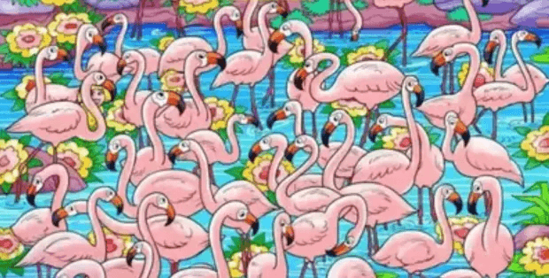 Img 7148 12909951898964131493