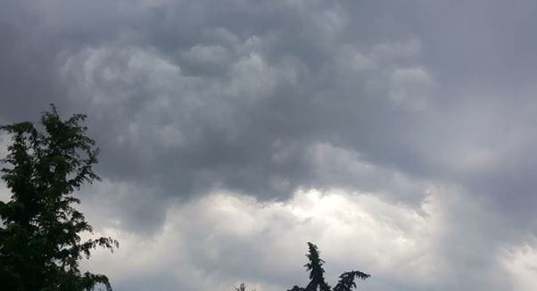 Moti+25150860895547369381.