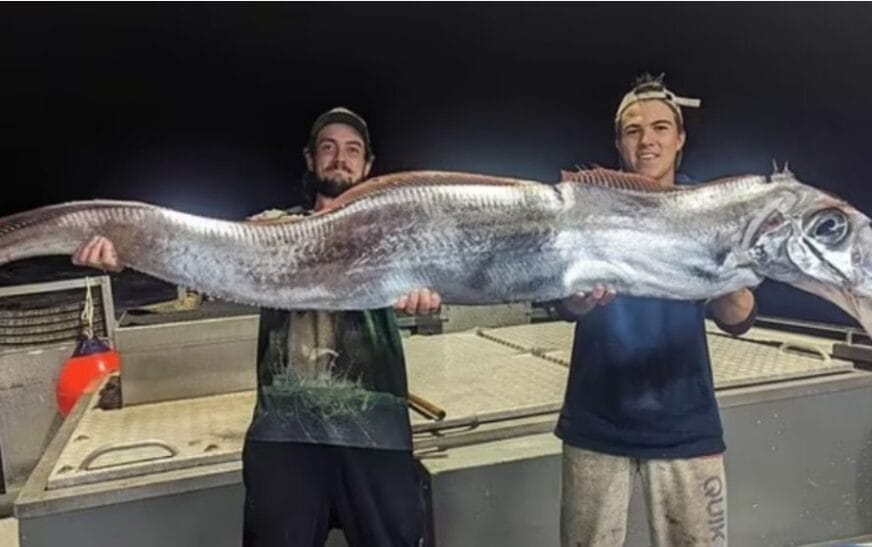 Dy australianë zbulojnë peshkun e rrallë paralajmërues/ I njohur si ‘Peshku i Ditës së Kijametit’