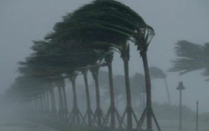 Stuhi2 1140x5705979182393768423011