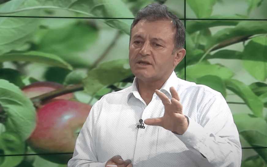 Yllimerja 942x5702569855261859722020