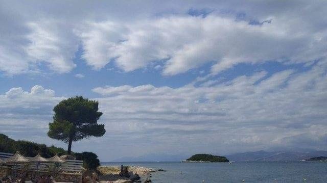 Moti 1 1359062856773448008