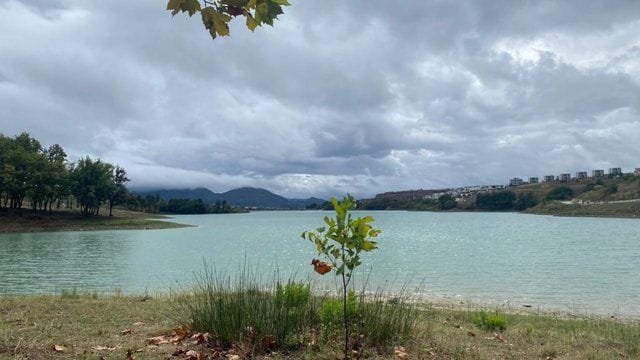 640 0 Aa 17382180862726715913029113012