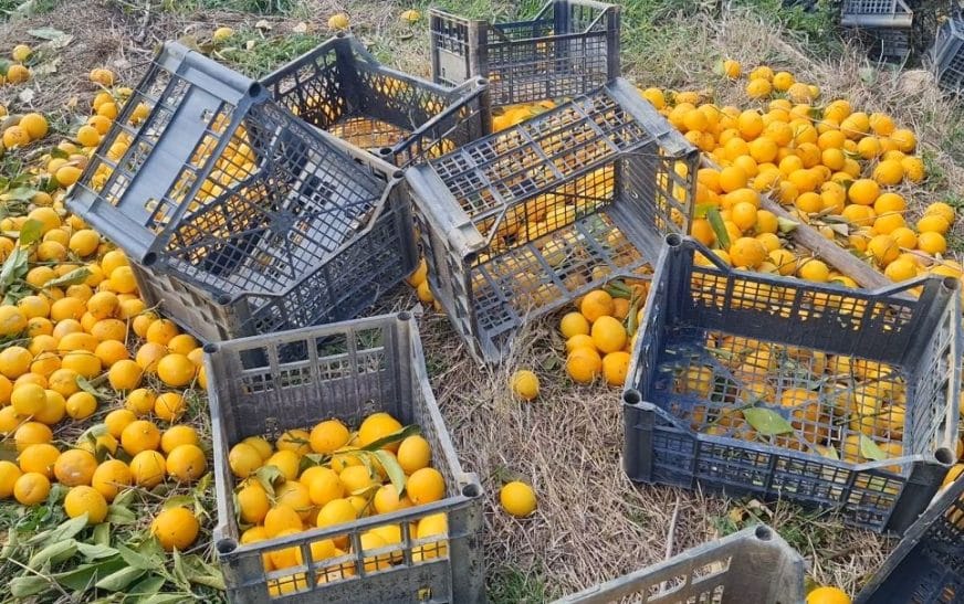 Screenshot 20250128 161124 Gallery2760026601157021922