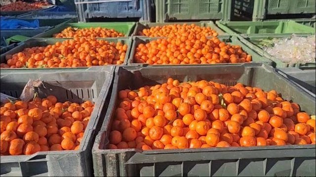 640 0 Dsgdsgdsgdsgdsg 17405943315218340618246791222