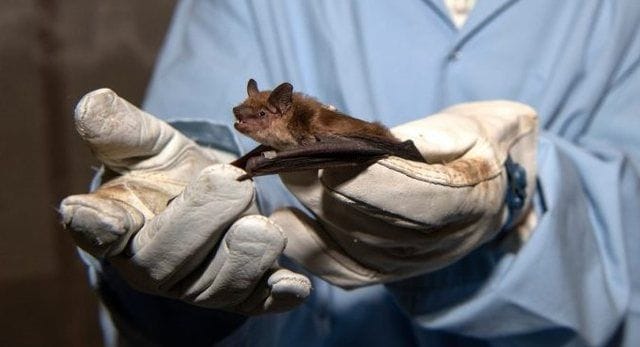 640 0 Screenshot 16 17401727007930497154717225999