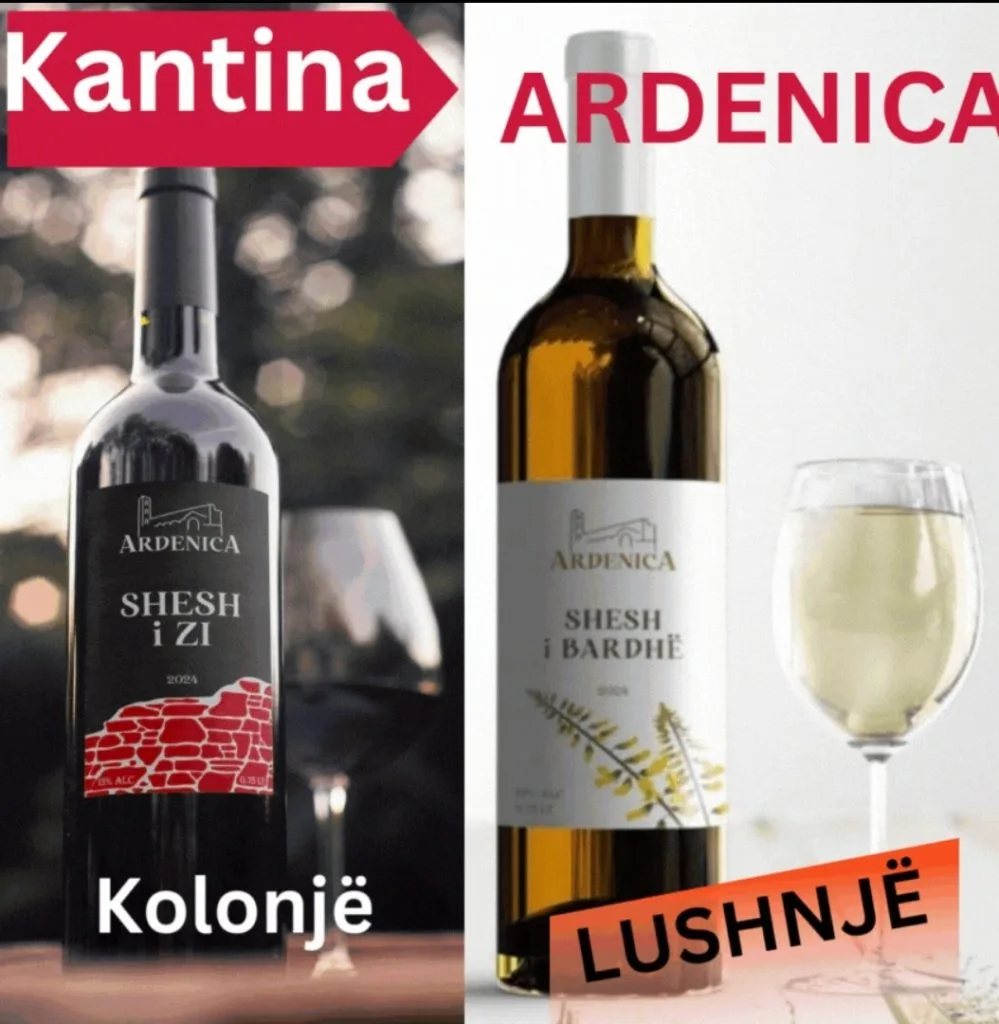 Screenshot 20250201 194832 Gallery