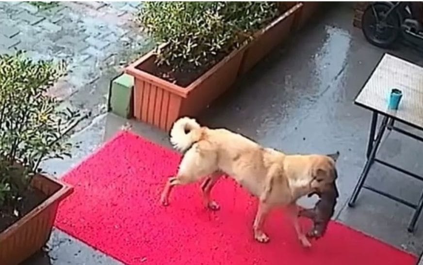 Screenshot 20250202 062208 A2+cnn7958854035724999810.