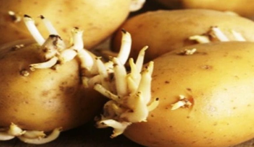 Screenshot 20250305 003353 facebook554379865759162840