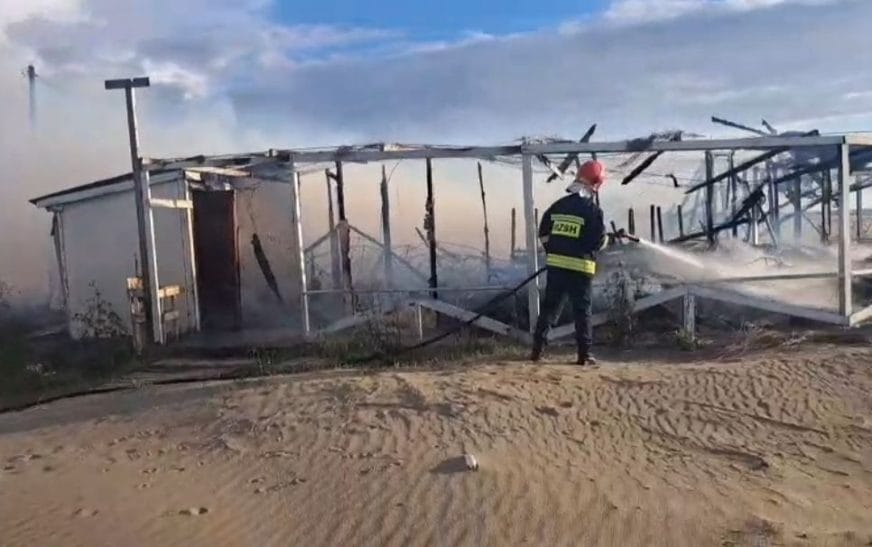 Screenshot 20250330 232613 gallery1573871568637569255