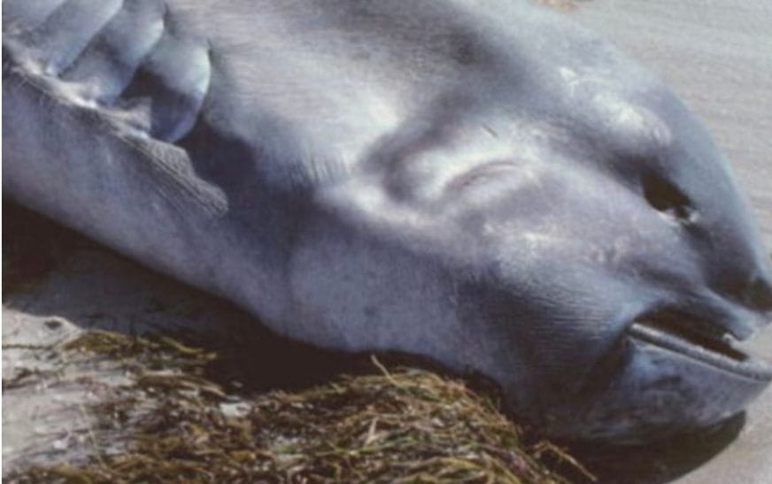 Screenshot 20250409 065456 facebook7642192796645632444