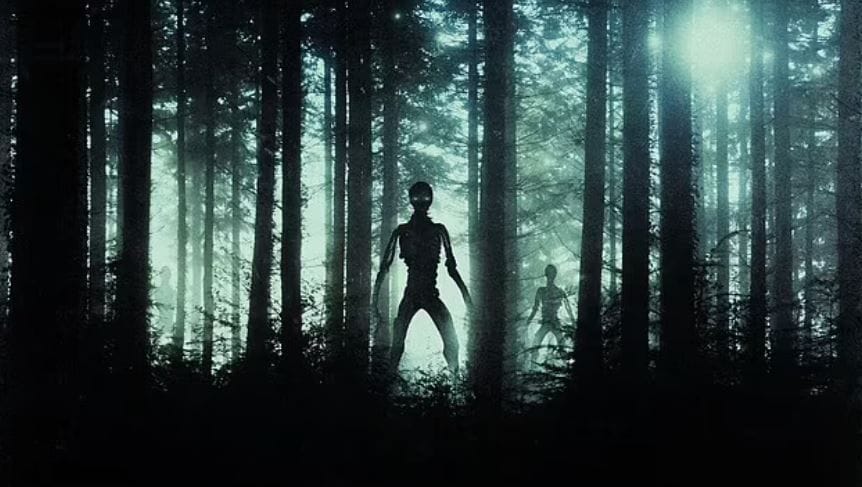 Capture 85661042694234600496