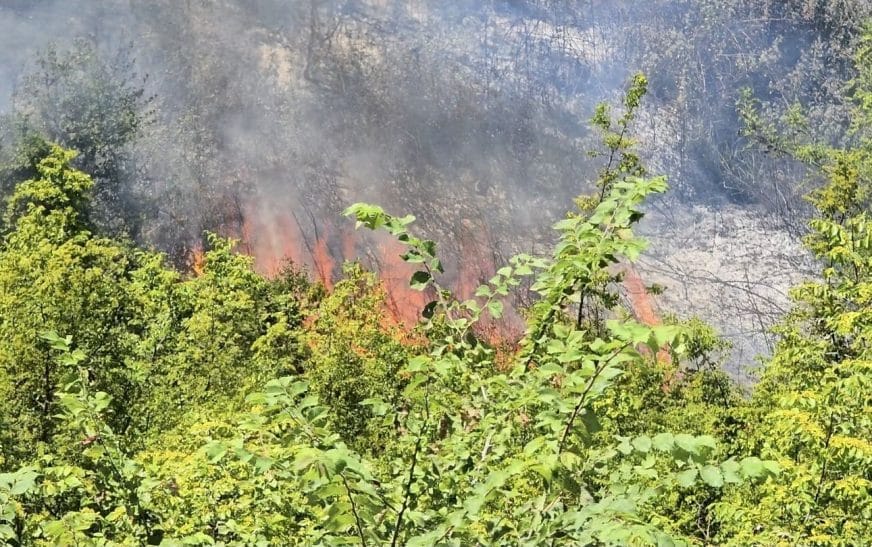 Screenshot 20250602 132920 gallery5789337691522266299