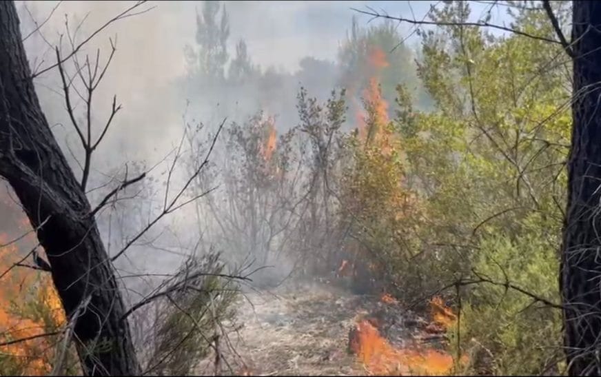 Screenshot 20250602 133323 gallery2069215012079221403