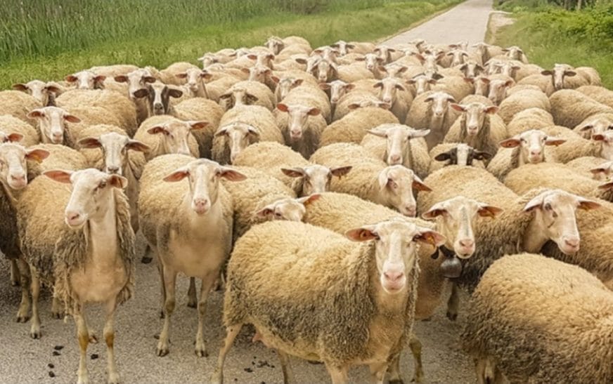 Screenshot 20250613 142238 a2+cnn4299901327795073855.