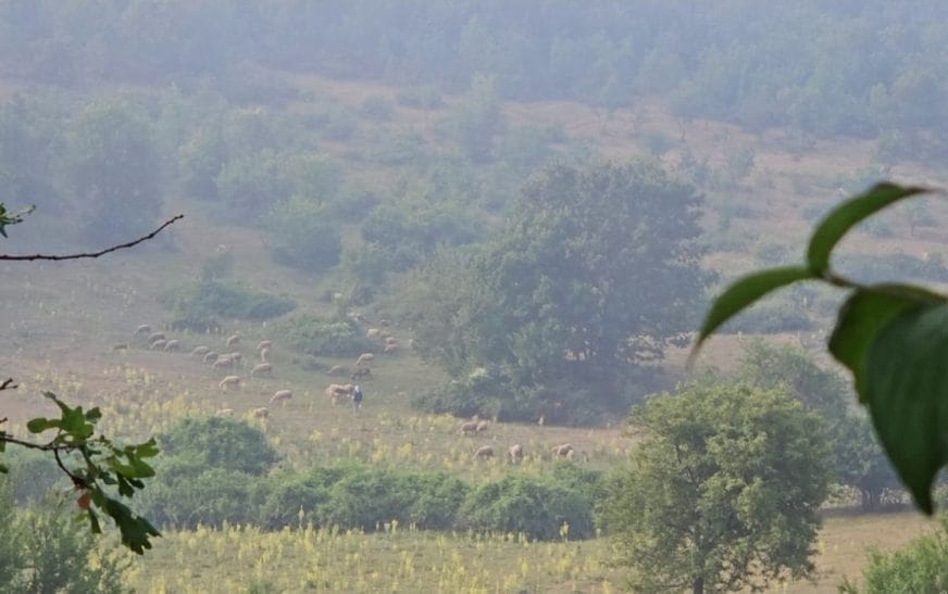 Screenshot 20250625 130508 facebook8553940009680040382