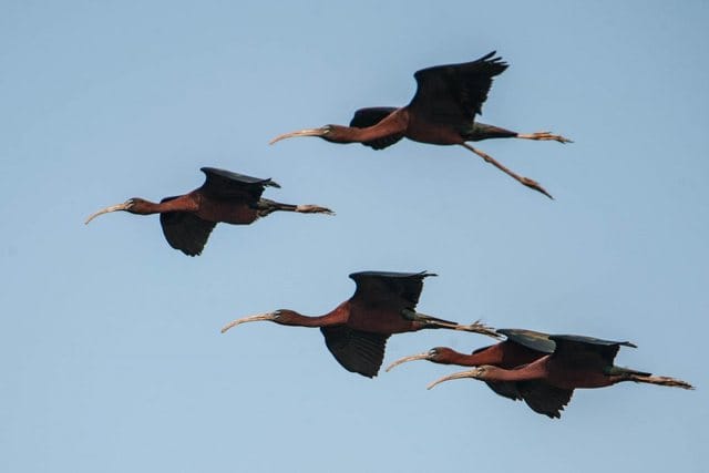 640 0 828fee24d9010a3f2a11cc2859ab15ca